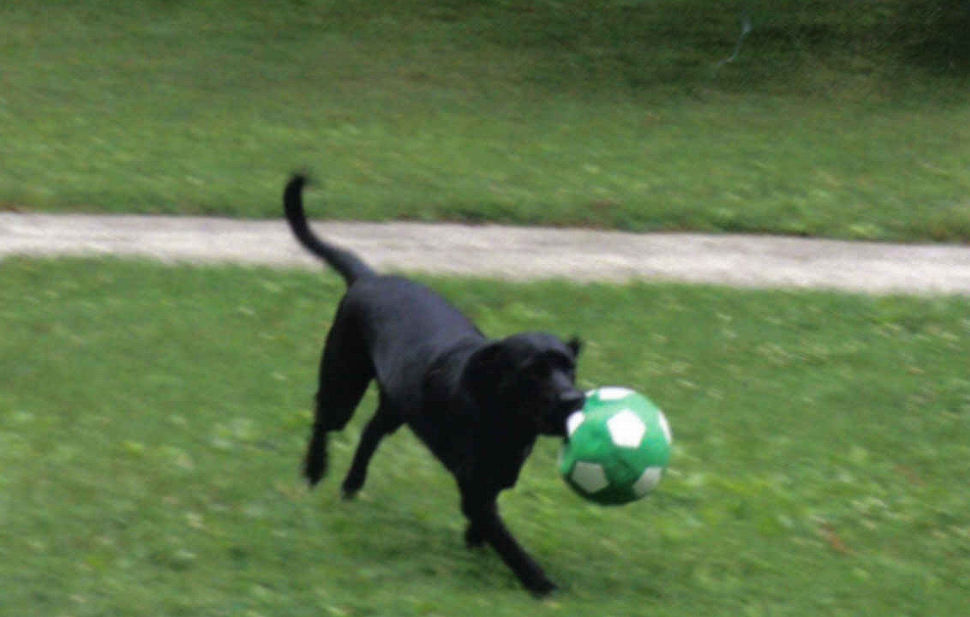 Annie playing soccer.jpg