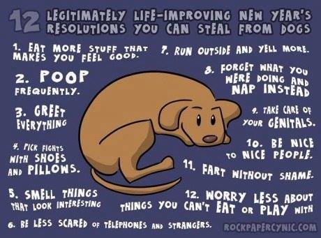 Dog Resolutions.jpg