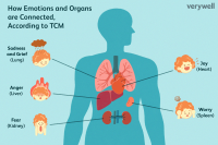 emotions-in-traditional-chinese-medicine-88196-FINAL-84ca01c0b9a9468890f69d434a0fa9c2.png