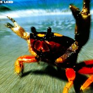 ProdigyCrab