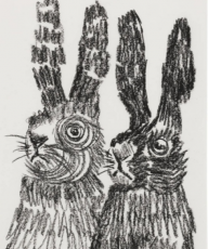 rabbits