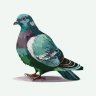 SleepyPigeon0608